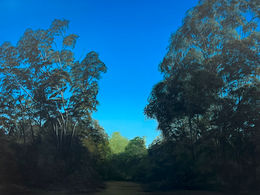 A contemporary landscape painting of a narrow path leading through deep shadow beneath a dense canopy of trees. Rich blue-black foliage frames the composition, opening onto a distant horizon of soft blue sky and light. The contrast between the protective darkness of the foreground and the luminous space beyond creates a quiet, contemplative atmosphere.