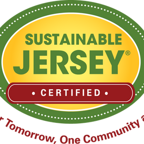 Sustainable Frenchtown Has Begun Working Towards Sustainable Jersey Recertification for 2022-2024.