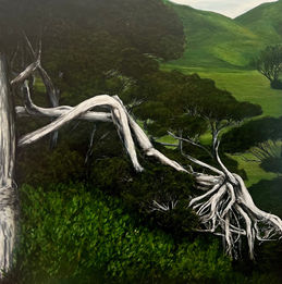 A painting of white-barked Pāhautea trees with gnarled, twisted limbs emerging from dense green bush. In the background, rounded hills and layered tree canopies create a lush, dreamlike New Zealand landscape.