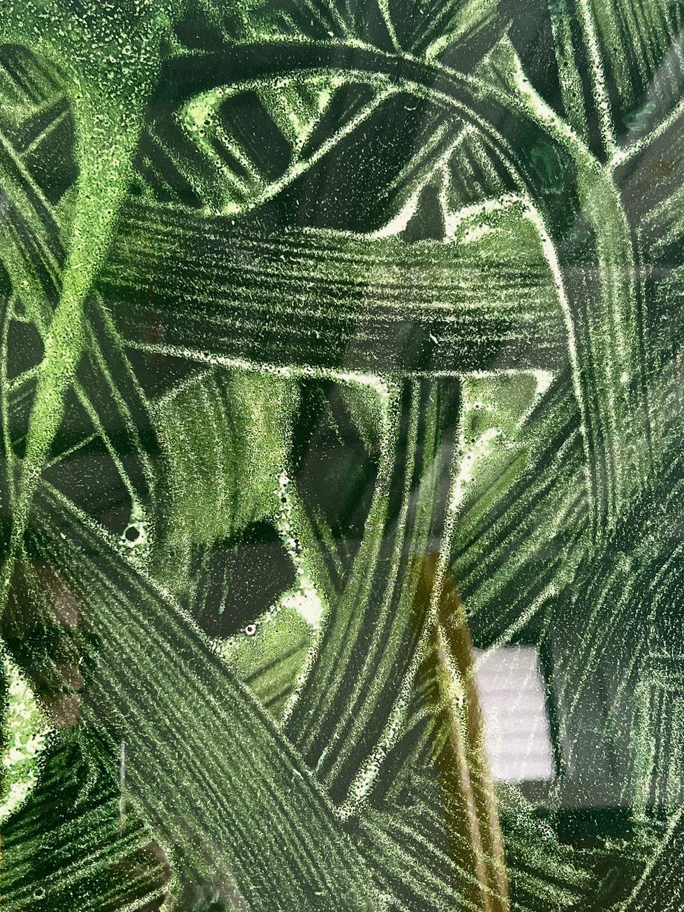 Undergrowth detail 2.jpeg