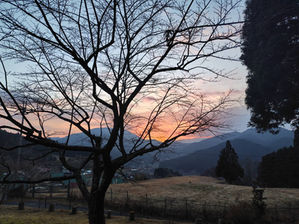 明けましておめでとう御座います