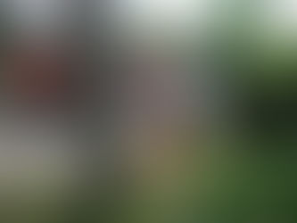 And now for something completely different: