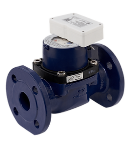 Sensus Pulse Module Team (List) | dg-sensor.com