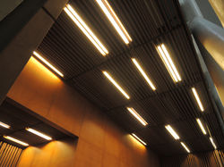DSCN0729.JPG