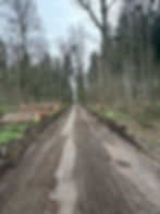 Kiesweg instand setzen und profilieren im Waldgebiet