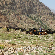 010 - Pastori  della Ait Bouguemaz.JPG