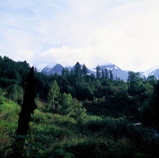 257 MountRobson.JPG