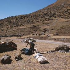005 - Preparativi per la partenza.jpg