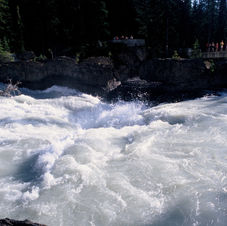 183 Ponte naturale.JPG