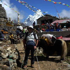 018 - Punto di ristoro vicino a un antico Chorten.JPG