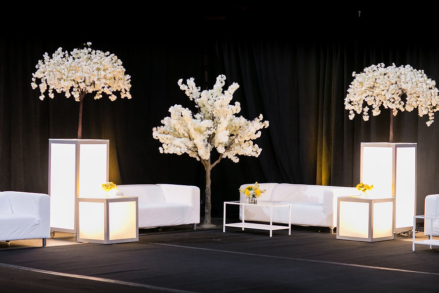 LEDfurnitureandTreeDecor.jpeg