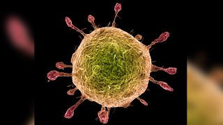 COVID-19 Information for You