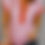 Thumbnail: Front Zipped T Shirt
