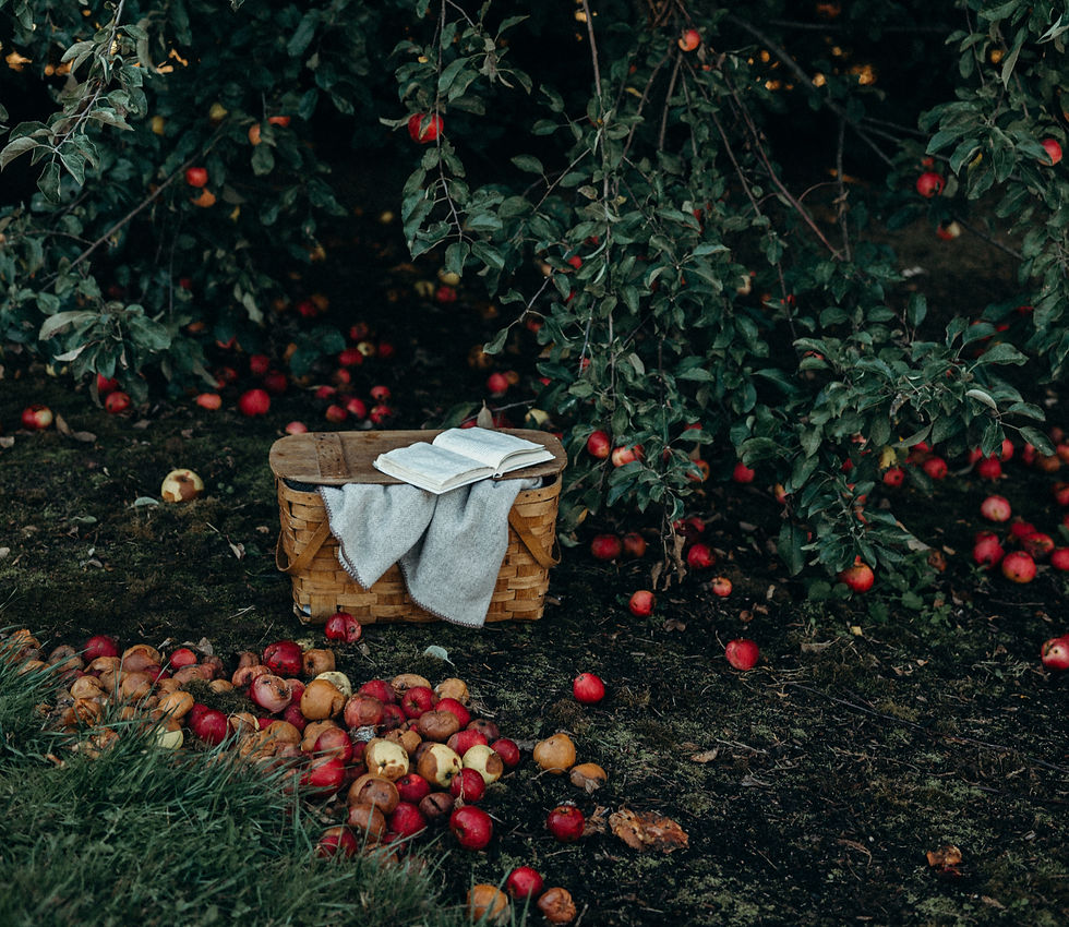 Construa um Legado, não só uma Imagem