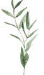 14.png