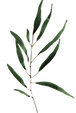 13.png