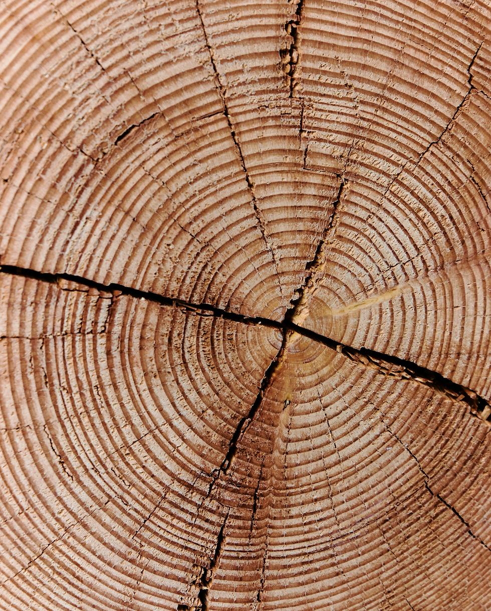 Thumbnail: Lasting Love