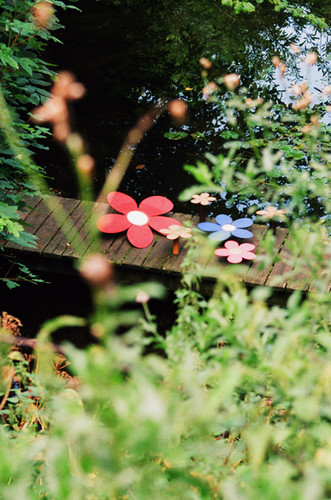 Eternal Bloom | A seat in Siena