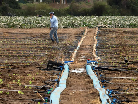 Resolución DGA: Junta de Vigilancia hace un llamado a usar los derechos de aguas del Río Chillán