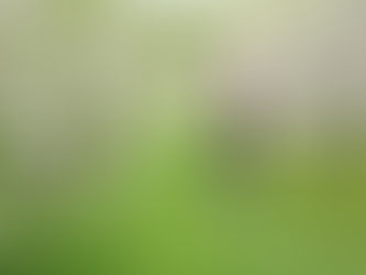 Spring Health Renewal