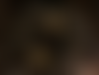 A Love Letter to Fair Haven Oyster Co