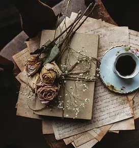dry roses