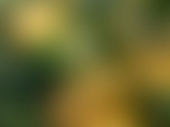 To Help Ease The Process