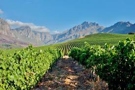 South Africa Harvest 2025 ongoing