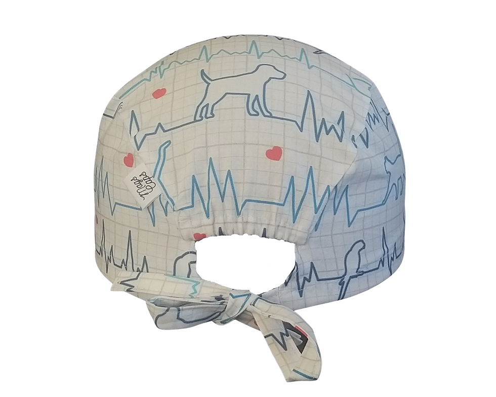 Μικρογραφία: calot vétérinaire