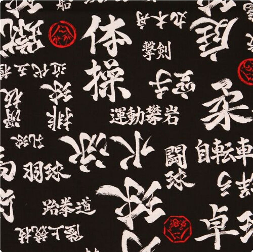 Miniatura: calot de bloc idéogramme