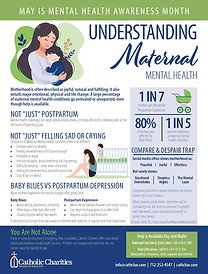 Maternal Mental Health Insert.jpg