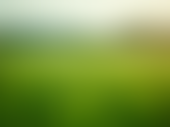 Agricultural Products: Boosting B2B Opportunities Globally