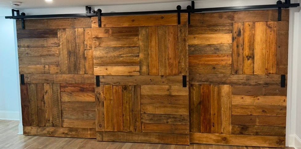 Tripass Closet Barn Doors Closed.jpeg