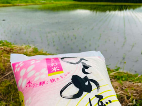 お客様から米10キロいただきました🙏