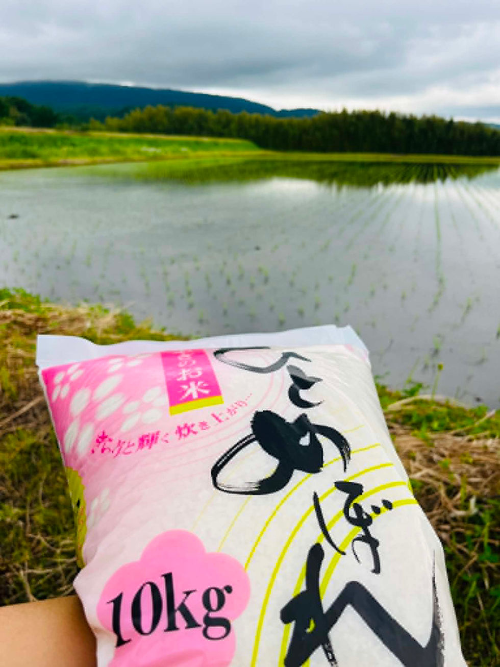 お客様から米10キロいただきました🙏