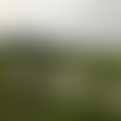 Irrigation canal facilitating vital water supply to nourish agricultural fields.