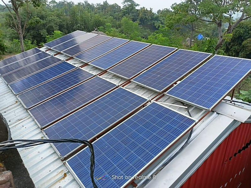 An array of solar panels in a Forest
