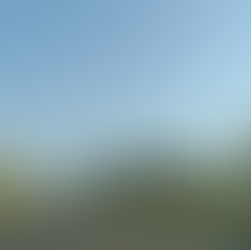 A glimpse of the road on the journey