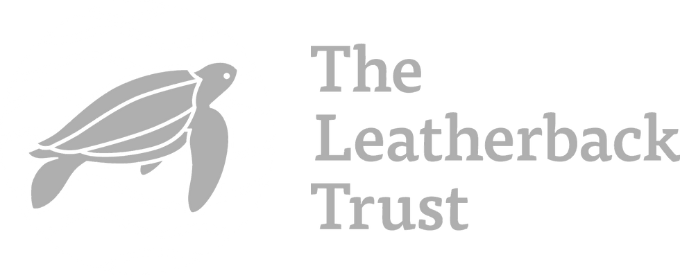 TLT-logo-rgb-fc.png