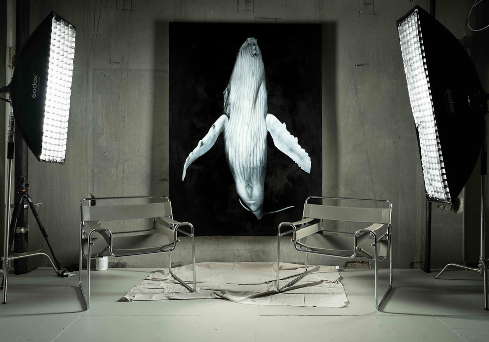 Mathias Horne -- (Humpback Whale).jpeg