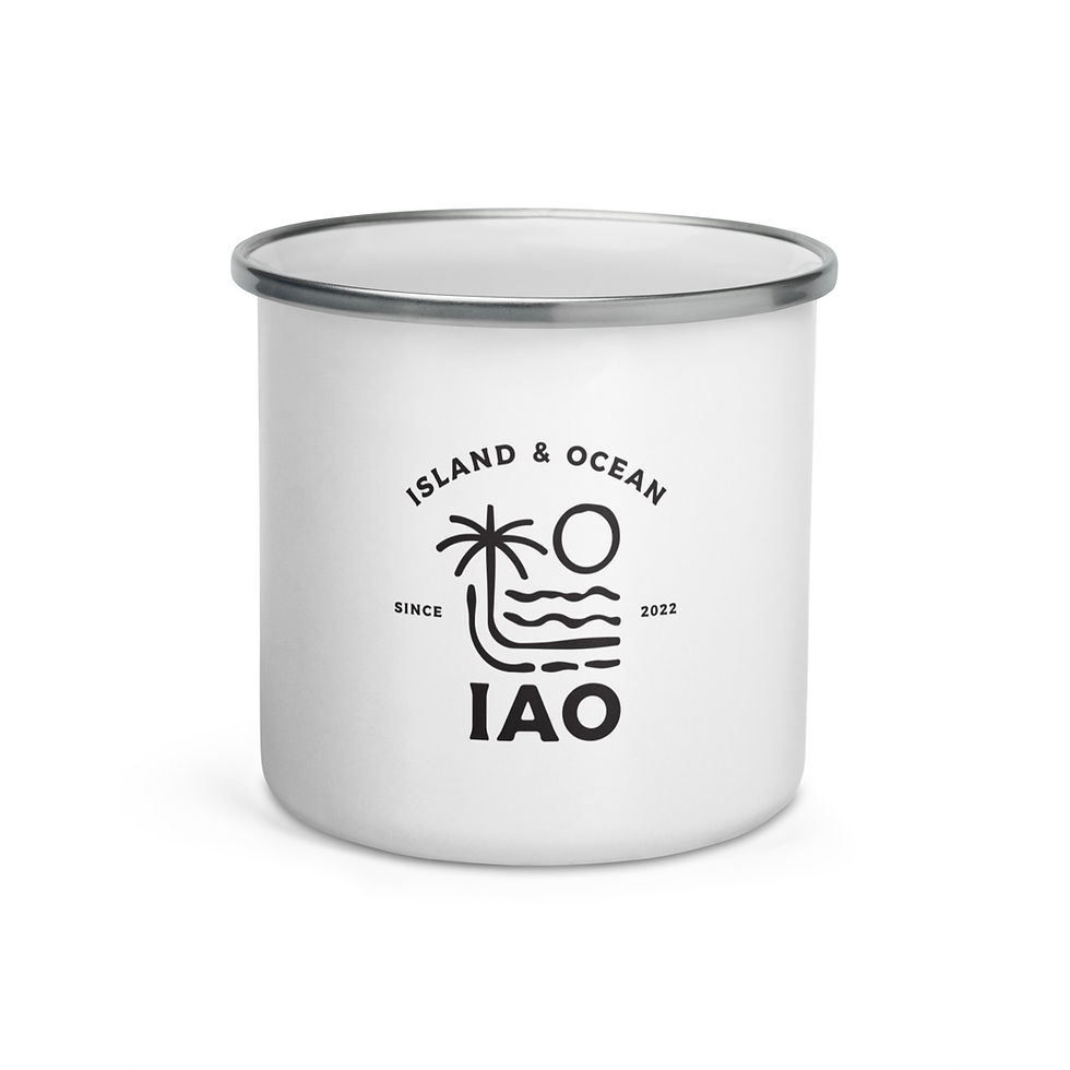 Thumbnail: IAO Enamel Mug — White