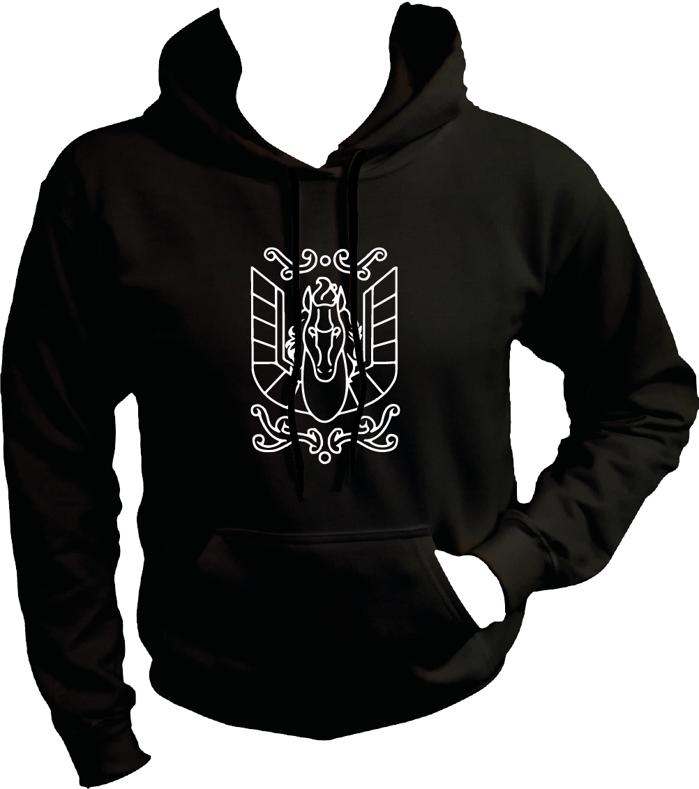 Sudadera Urna Armadura Bronce Pegaso Seiya Caballeros Del Zodiaco | Viva La  Fandom