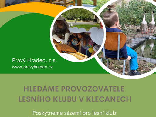Provozovatel lesního klubu