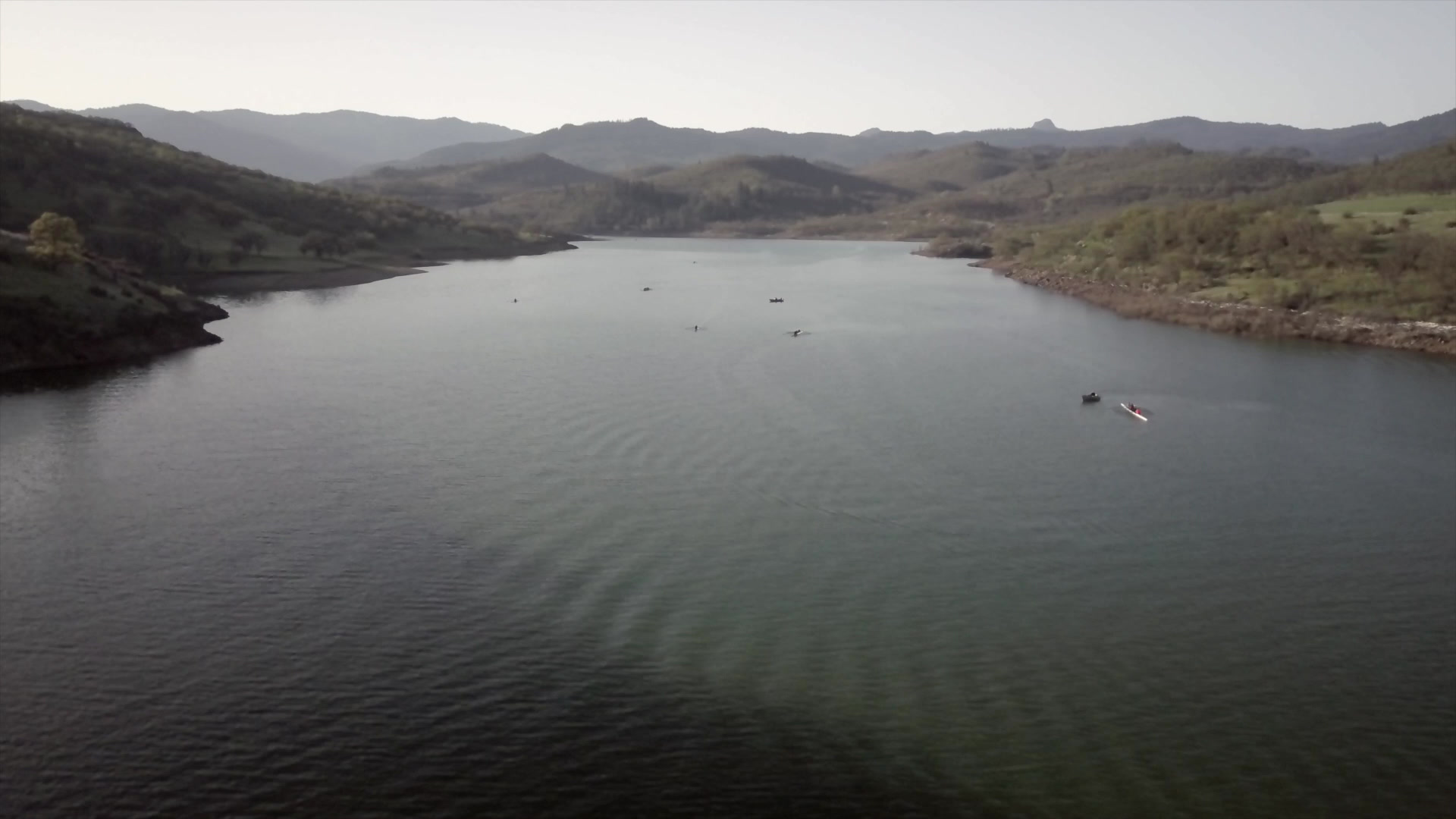 Rogue Rowing