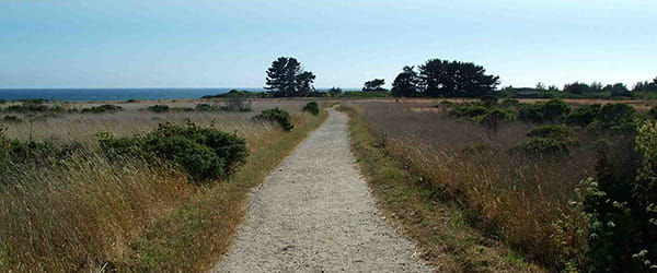 ano-nuevo-point-trail.jpg