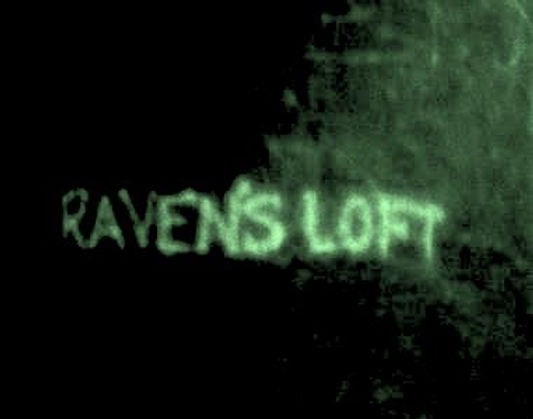 Raven Has Loft.jpg