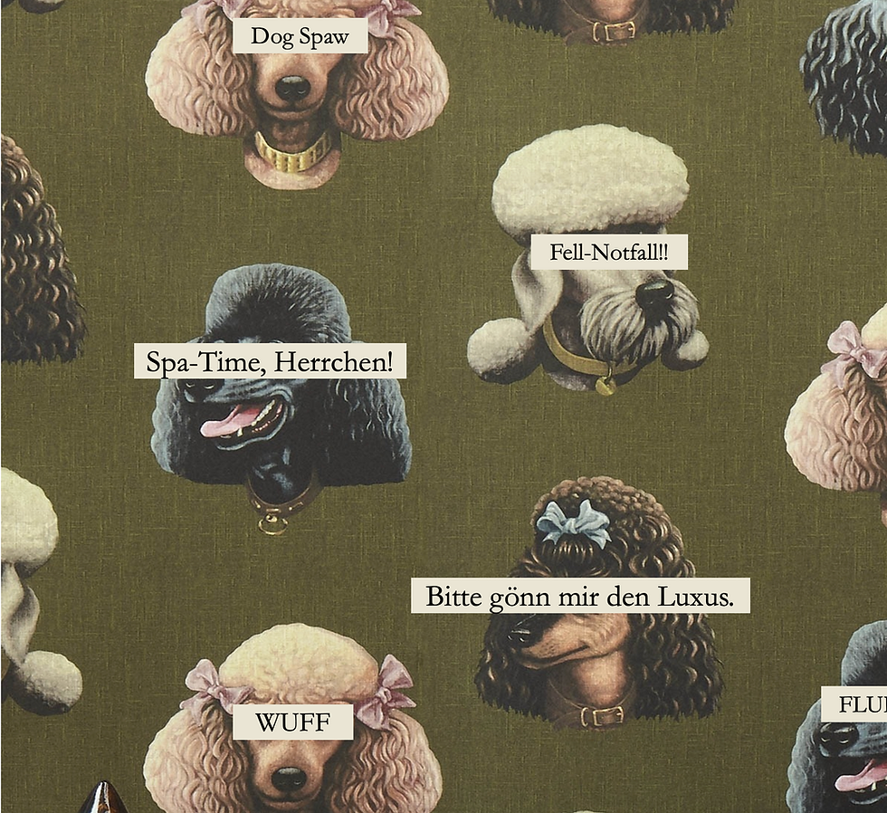 Bildschirm_foto 2024-03-01 um 14.51.20.png