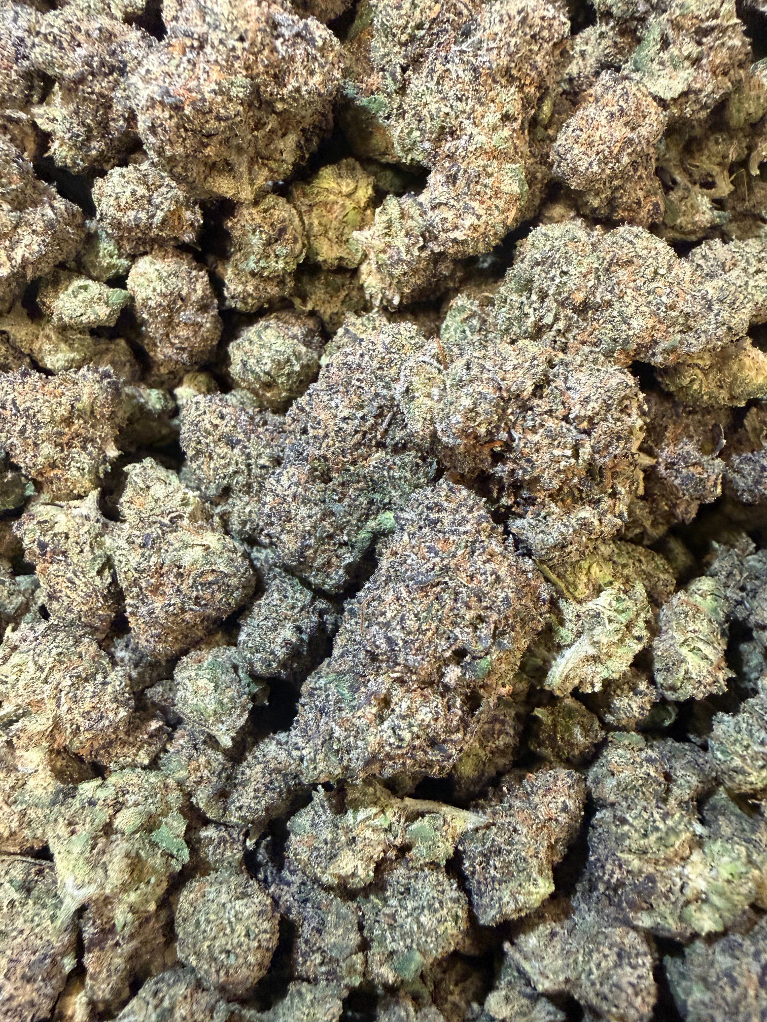 Black Diesel
