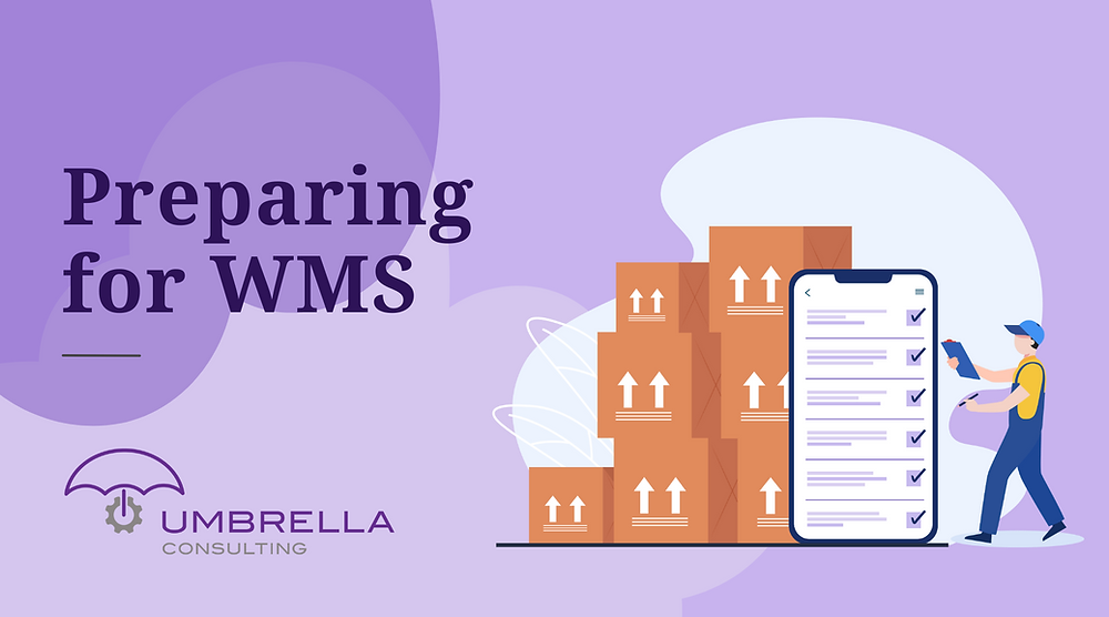 6 Things to Consider Before Diving into a Warehouse Management System (WMS)
