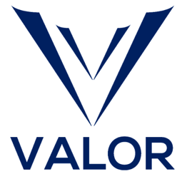 Valor Capital I Houston - Real Estate